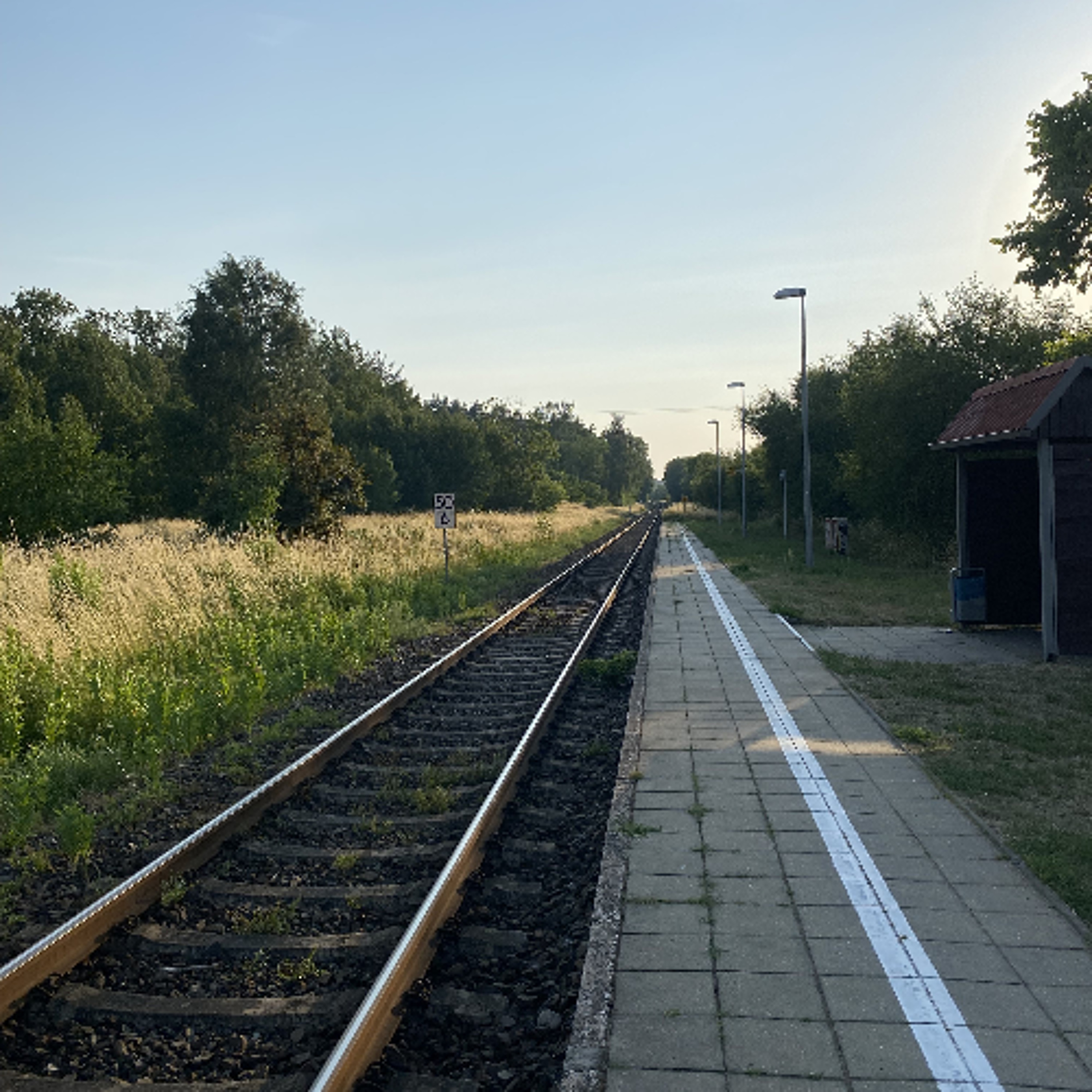 Land der Dichter, Denker und deformierten Schienen - von Camila Hildebrandt episode artwork