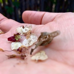 Tend. Tender. Tending.