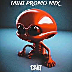 MINI PROMO MIX