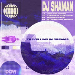 DJ SHAMAN - Mirages In Gobi