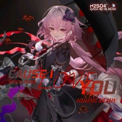 ( BẢN CHUẨN ) HDUNG REMIX X H2SO4 TEAM - CAUSE I LOVE YOU | NHẠC HOT TREND TIKTOK LẮK ĐÍK 2025