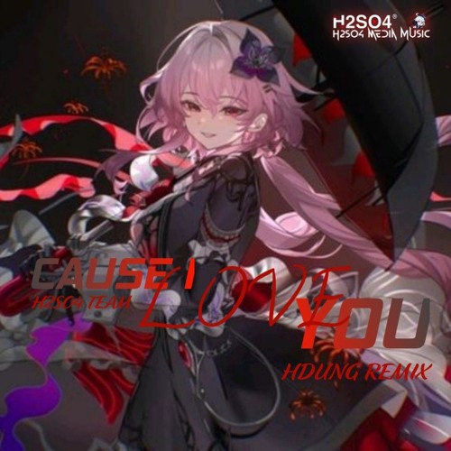 ( BẢN CHUẨN ) HDUNG REMIX X H2SO4 TEAM - CAUSE I LOVE YOU | NHẠC HOT TREND TIKTOK LẮK ĐÍK 2025