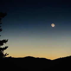 Night Moon