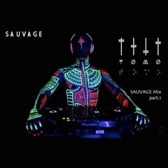 Sauvage Mix part.1