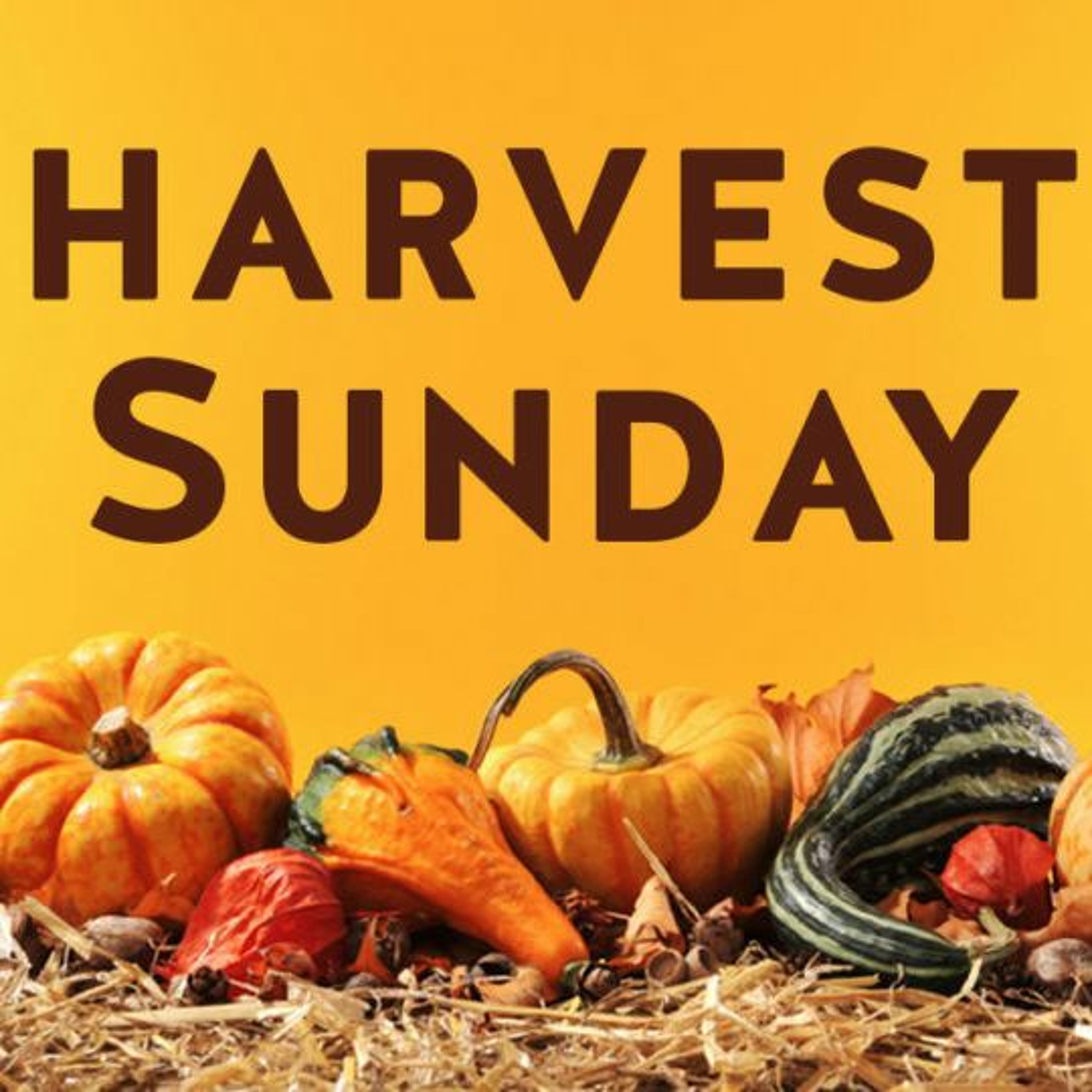 11/21/2021 - Harvest Sunday - Dr. Don Whitt episode artwork