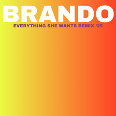 EVERYTHING SHE WANTS - BRANDO REMIX