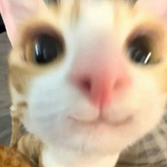 nhạc choá j cx có=))