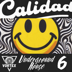 Calidad's Underground House 6