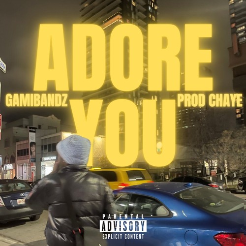 Adore You (prod.Chaye)