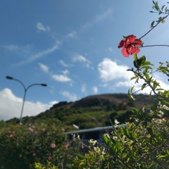 Tambu Baratah (PNG Latest Music 2024)