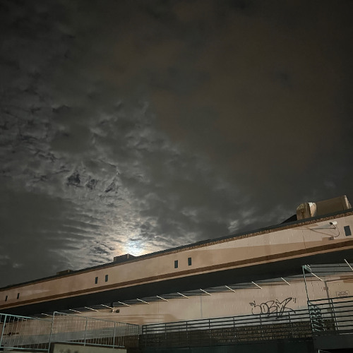 same shit, different day