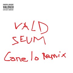 VALD - Seum - Canelo Remix