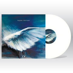 B1. Dragutesku - Prezent [feeder sound] - FSRO001