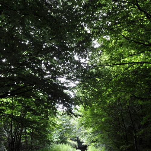 Stream April 2024 Jungle vinyl mix by SGS | Listen online for free on ...