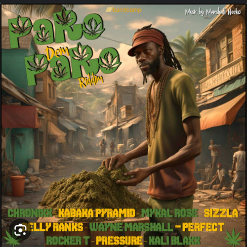 Paro Dem Paro Riddim  Mixed By