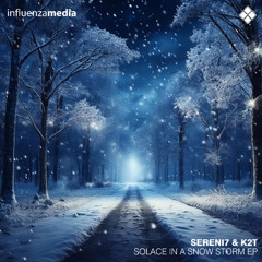 Sereni7 & K2T - The Vast Emptiness