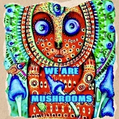 We Are Mushrooms Mix