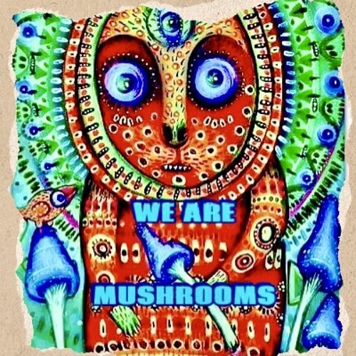 We Are Mushrooms Mix