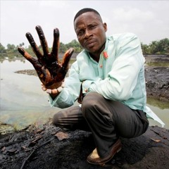 Taiwo Feyispo - Shell in Nigeria, armed protection of oil extraction