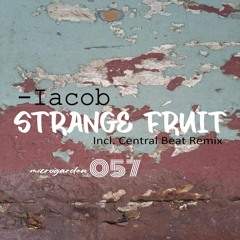 PREMIERE | Iacob - Strange Fruit (Central Beat Remix) [MG057]