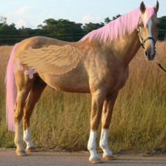 IF I WAS A HORSE (WORMKIND REMIX)