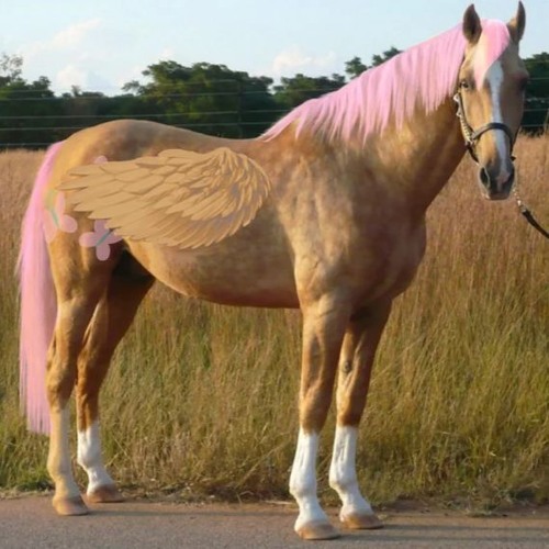 IF I WAS A HORSE (WORMKIND REMIX)