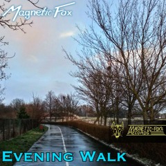 Evening Walk