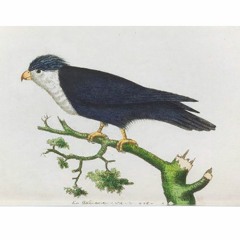 HK_Fantaisies_Sets_23