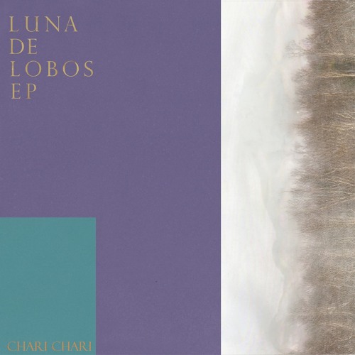 A1 Luna De Lobos [Kuniyuki Remix] (10:28)
