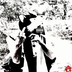 no L's/fuck 16 feat.rackshigherthenme