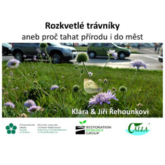 Přednáška - Rozkvetlé trávníky aneb proč tahat přírodu i do měst