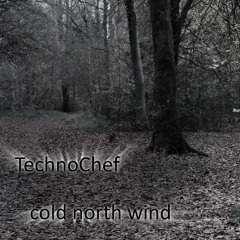 cold north wind