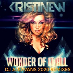 Offer Nissim ft Kristine W. - The Wonder Of It All (Dj AlexVanS 2020 Remix)