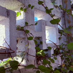 2. KB - Thread of Truth (VIP)