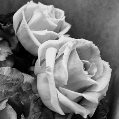 사랑 없이 사는게 왜 그렇게 어려울까요 Demo