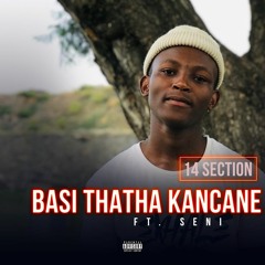 14 Section - Basithatha Kancani (ft Seni)
