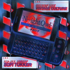 Night Owl Radio 307 ft. Sofi Tukker and Vintage Culture