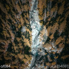 AF084 04061