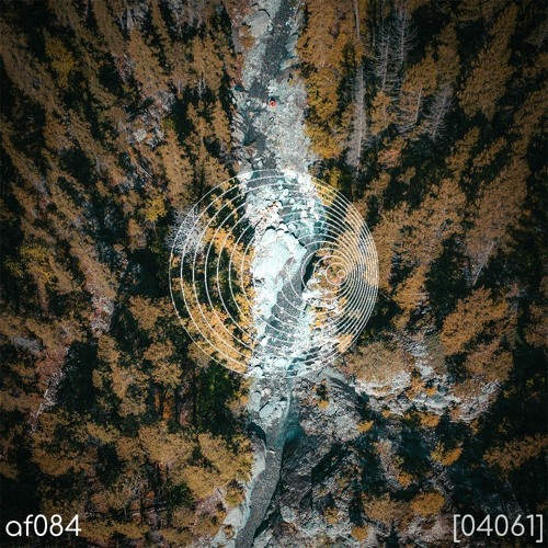 AF084 04061