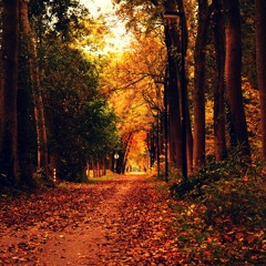 Something About Autumn