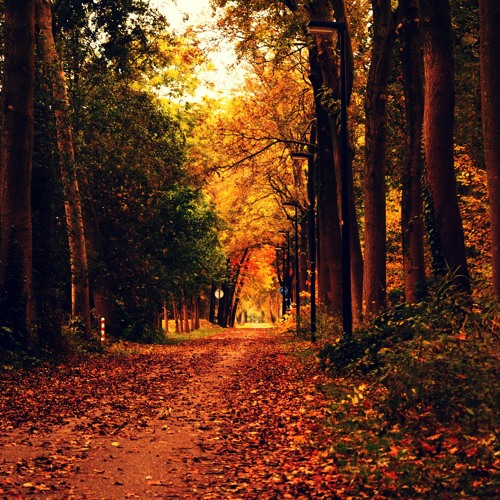 Something About Autumn