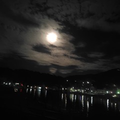 水面の月と(prot)