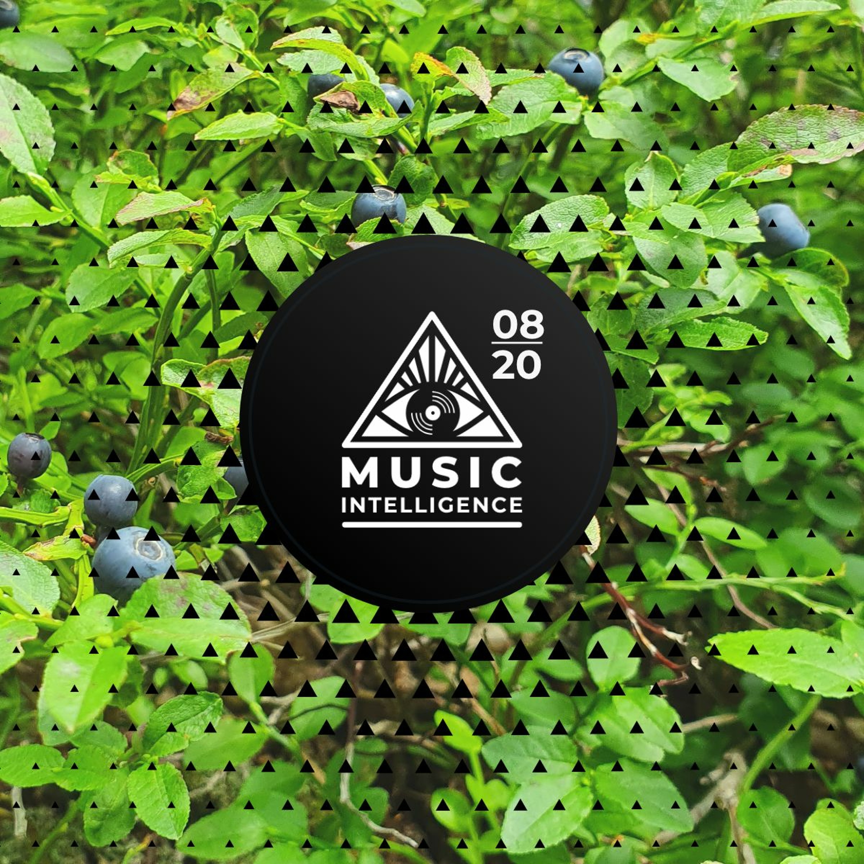 Music Intelligence Podcast
