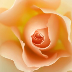 ACIM DEC 7 TEXT CONF CALL MANUAL FOR TEACHERS #4 11-17