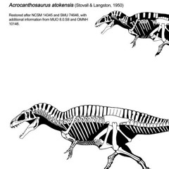 Acrocanthosaurus