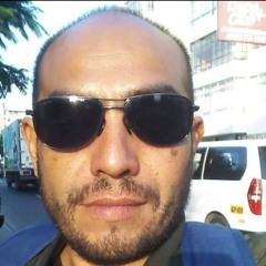 Leonardo Das Cabrio Blow Up