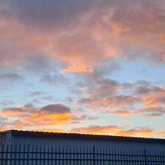 Dying Only Hurts The First Time.mp3