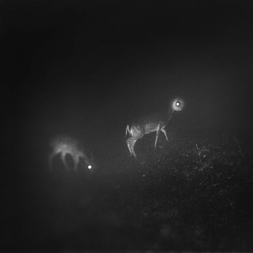 Remote techno control