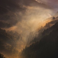 The Void 21