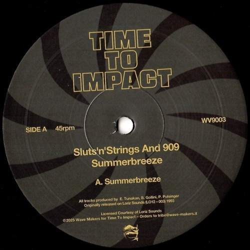 WV9003 /  Sluts'n'Strings & 909 - Summerbreeze (Record Store Day 2025)